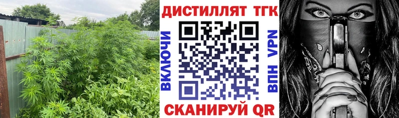 закладка  Тверь  Дистиллят ТГК THC oil 