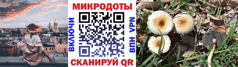 где продают Тверь Псилоцибиновые грибы ЛСД