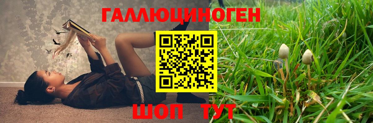 Тверь  Галлюциногенные грибы мицелий  Вход с VPN  Псилоцибиновые грибы MAGIC MUSHROOMS 