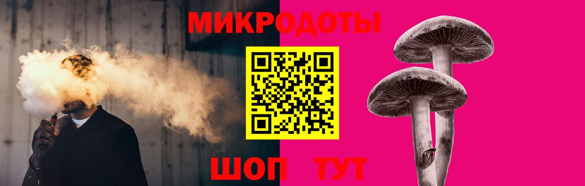 Псилоцибиновые грибы Psilocybe Тверь